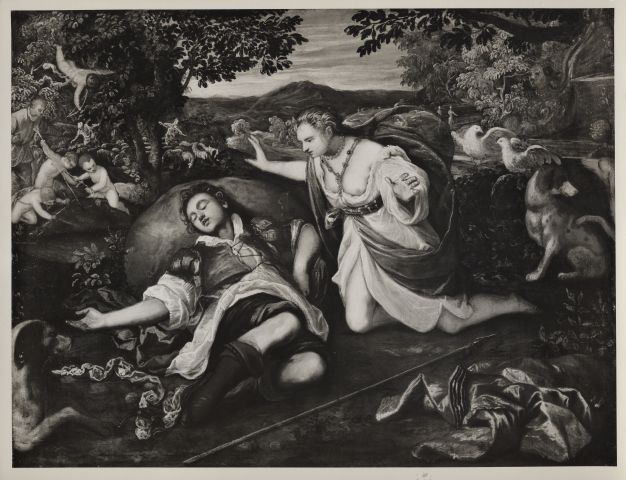 Samuel H. Kress Collection — Robusti Domenico - sec. XVI/ XVII - Venere piange la morte di Adone — insieme